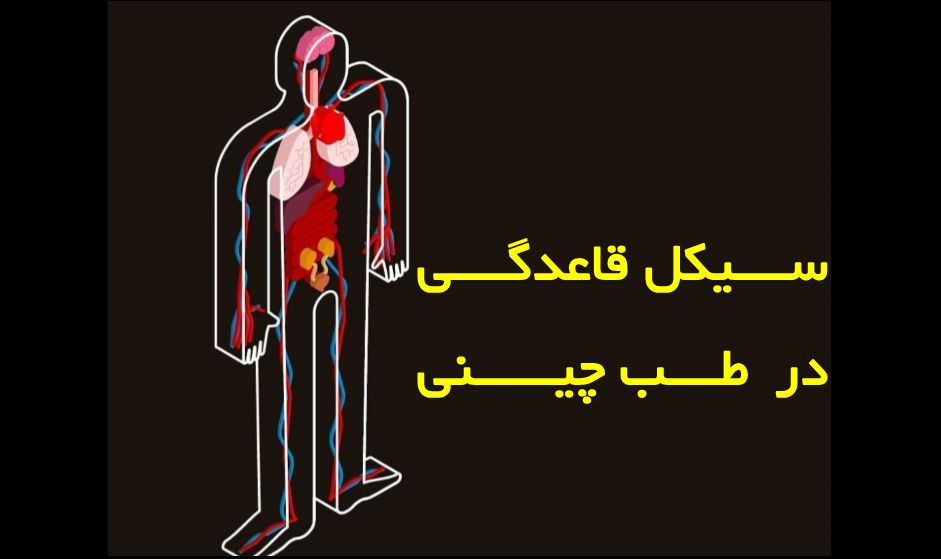 سیکل قاعدگی و اعضای بدن