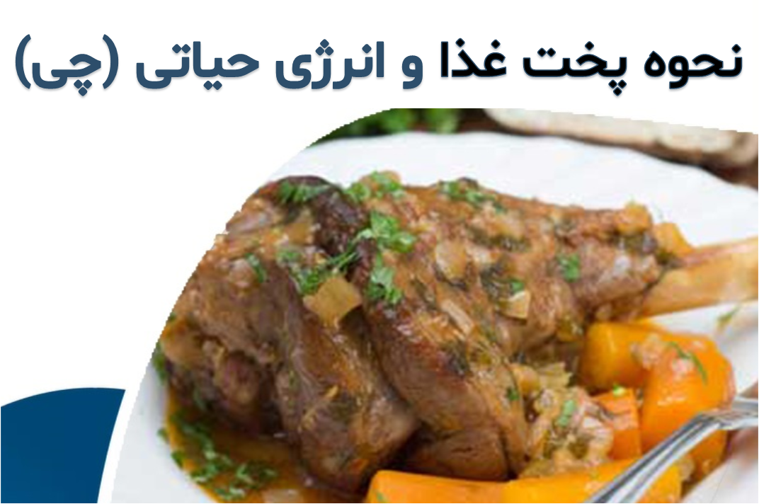 تأثیر روش پخت غذا بر روی انرژی آن